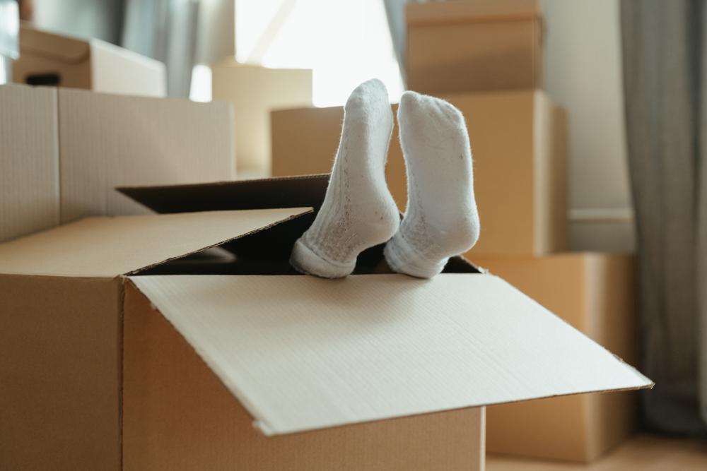 Co zrobić po zakupie mieszkania: Poradnik krok po kroku
